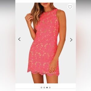 Adelyn Rae Mila Fitted Mini Shift Dress Lace Cut Out Back Barbie Pink Size M
